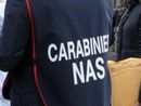 Sospensione dell'attività e 35mila euro di sanzioni: gravi irregolarità in un locale del Monregalese Sospensione dell'attività e 35mila euro di sanzioni: gravi irregolarità in un locale del Monregalese