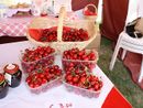 Dal Palio dei Borghi di Fossano alla Fiera della Ciliegia di Dogliani: ecco tutti gli eventi del weekend in provincia di Cuneo