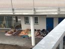 Cuneo, stretta contro bivacchi e degrado urbano: nuova ordinanza della sindaca Manassero Cuneo, stretta contro bivacchi e degrado urbano: nuova ordinanza della sindaca Manassero