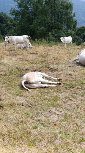 foto archivio foto archivio