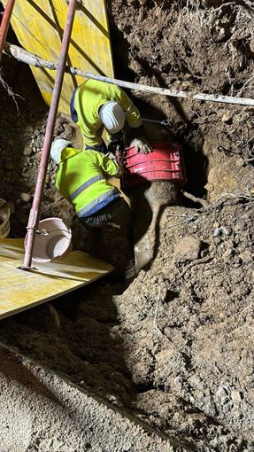 Acquedotto di Cuneo: "Analisi effettuate dopo l'interruzione escludono inquinamento batteriologico: l'acqua è pulita e potabile" Acquedotto di Cuneo: "Analisi effettuate dopo l'interruzione escludono inquinamento batteriologico: l'acqua è pulita e potabile"