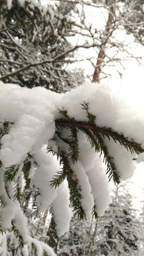 Foto di Matilde Demaria