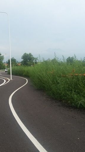 Le fotografie inviateci dalla nostra lettrice, che testimoniano lo stato di incuria della pista ciclabile Le fotografie inviateci dalla nostra lettrice, che testimoniano lo stato di incuria della pista ciclabile