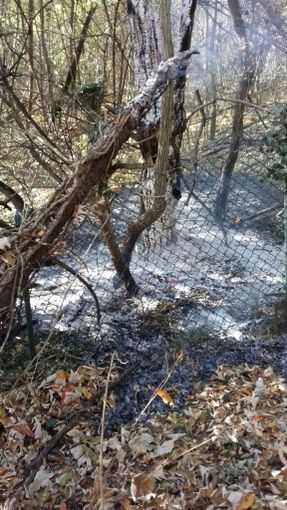 Principi di incendio sulla collina di Monserrato a Borgo San Dalmazzo, trovati 5 inneschi