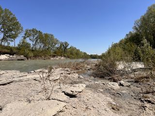 Le ricerche di Abdou Ngom