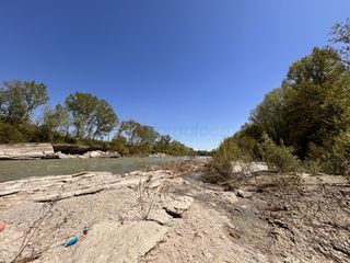 Le ricerche di Abdou Ngom