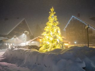 Foto Sergio Bolla