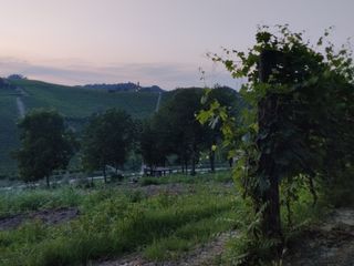 Colline di Canale Colline di Canale
