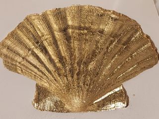 La conchiglia di San Giovanni