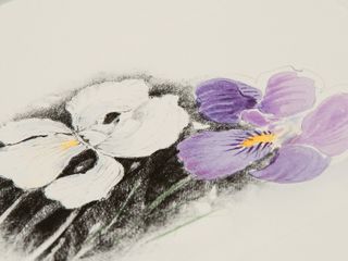 Fotogallery di Barbara Guazzone