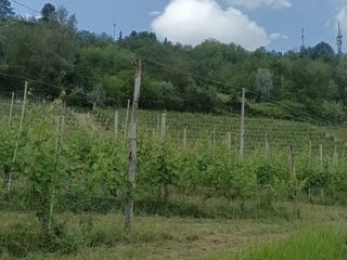 L'ingresso in Regione Croera