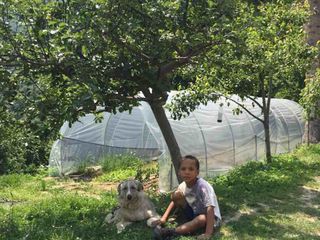 David con il cane da pastore Sven