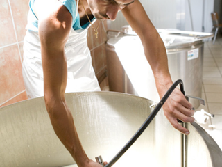 La fase iniziale di lavorazione del formaggio La fase iniziale di lavorazione del formaggio