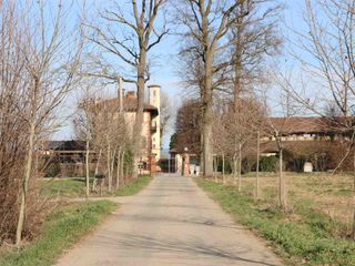 Il viale alberato che conduce all'ingresso dell'azienda agricola Fusero