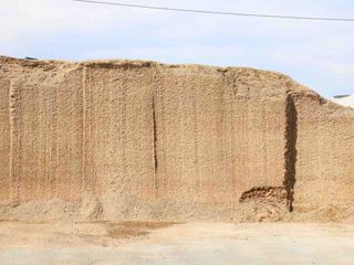 Il deposito del trinciato di mais