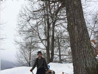 Claudio trasporta la legna da ardere con la slitta