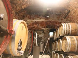 Ancora l'antica cantina