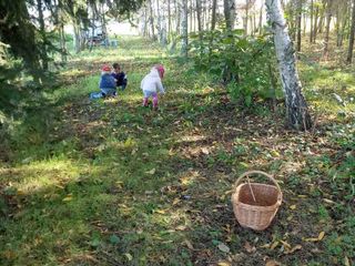 I bambini nel bosco vicino all'azienda