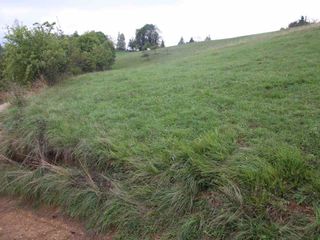 Campi incontaminati nelle vicinanze dell'abitazione Campi incontaminati nelle vicinanze dell'abitazione