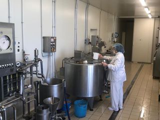 Laura all'opera nel laboratorio di trasformazione