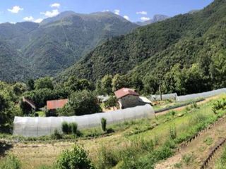L'azienda agricola nella località "I Suardi Sottani"