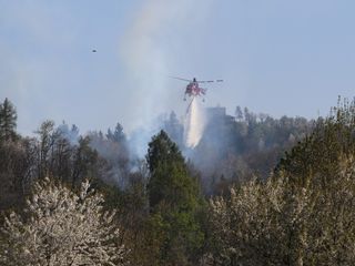 Foto Yonne Lanteri, che ha scattato le immagini dell'Erickson con Canon professionale e teleobbiettivo