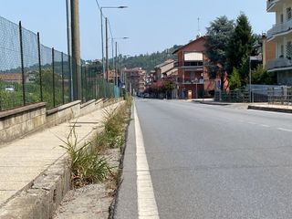 I marciapiedi di Alba, invasi dall'erba alta I marciapiedi di Alba, invasi dall'erba alta