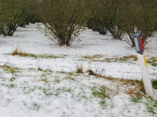 Grandine a Mango (foto dalla pagina Facebook Meteo Piemonte (https://www.facebook.com/meteopiemonteofficial) Grandine a Mango (foto dalla pagina Facebook Meteo Piemonte (https://www.facebook.com/meteopiemonteofficial)