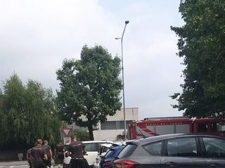 Saluzzo, l'intervento dei vigili del fuoco per salvare i due gattini Saluzzo, l'intervento dei vigili del fuoco per salvare i due gattini