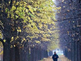 SAluzzo, momenti della seconda Festa della Fratellanza alpina della sezione Ana Monviso -  foto Paola Ravazzi