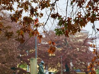 SAluzzo, momenti della seconda Festa della Fratellanza alpina della sezione Ana Monviso