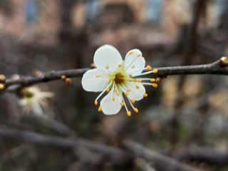Foto di Stefano Tibaldi