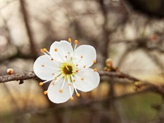 Foto di Stefano Tibaldi
