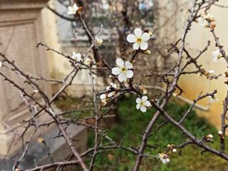 Foto di Stefano Tibaldi