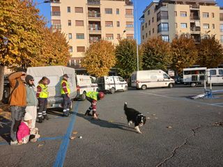 Saluzzo, dimostrazione Unità cinofile APS