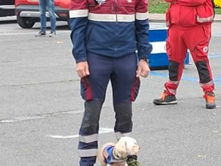 Foto Bruno Comba - Sei di Saluzzo se