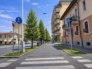 SAluzzo, la nuova alberata in via Savigliano