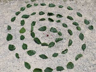 La spirale della natura La spirale della natura