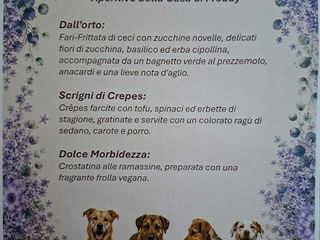 Busca, rifugio canile Casa di Freddy: cene vegane Busca, rifugio canile Casa di Freddy: cene vegane