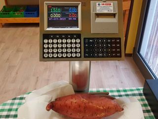 Una batata a pasta arancione sulla bilancia Una batata a pasta arancione sulla bilancia