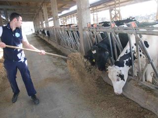 Matteo distribuisce il cibo agli animali
