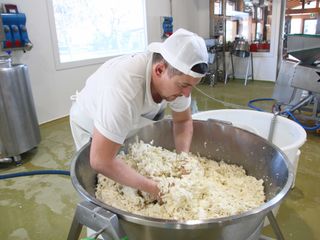 Una fase di lavorazione a mano della pasta di mozzarella
