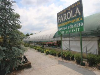 Piante ornamentali e serra di fiori