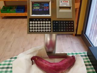 La pesatura di una batata a pasta bianca La pesatura di una batata a pasta bianca