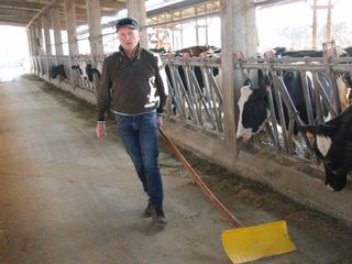 Papà Mario impegnato nella stalla