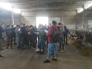 Gli studenti all'interno della stalla