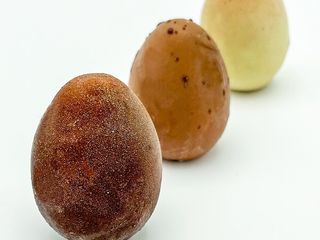 AgriBerrni uova trilogy