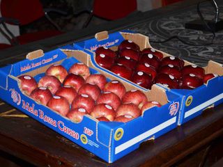 Cassette di Mele Rosse Cuneo Igp Cassette di Mele Rosse Cuneo Igp