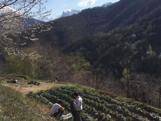 Un terrazzamento incastonato nel terreno agricolo