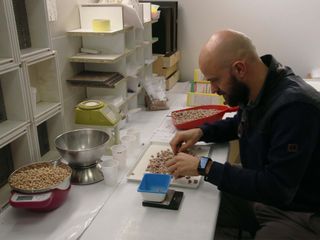 Simone all'opera nel controllo qualità